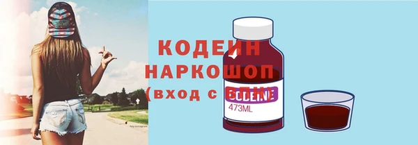 прущие грибы Алзамай