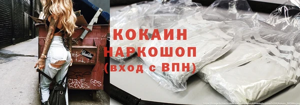 прущие грибы Алзамай