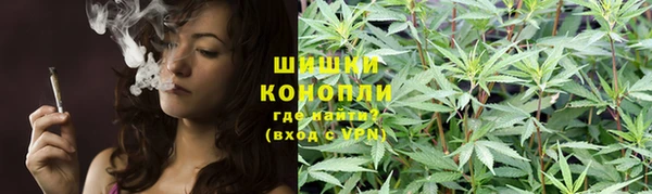 прущие грибы Алзамай